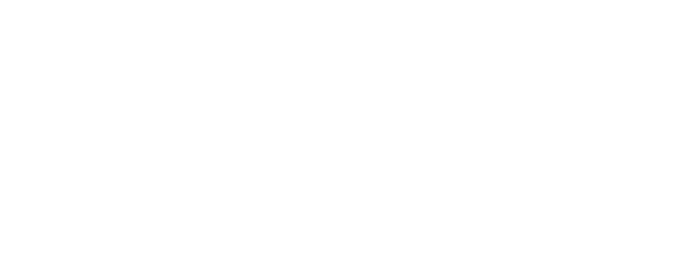 Electric Buffalo Logo